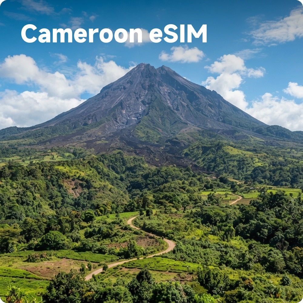 High-Speed Cameroon eSIM for Travelers | Prepaid Data Plans