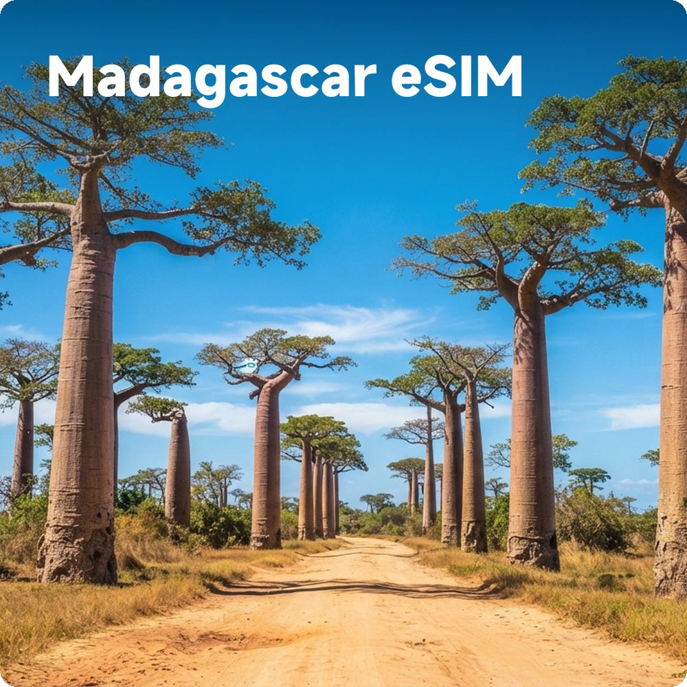 Buy Madagascar eSIM for Travelers | Fast & Affordable Mobile Data