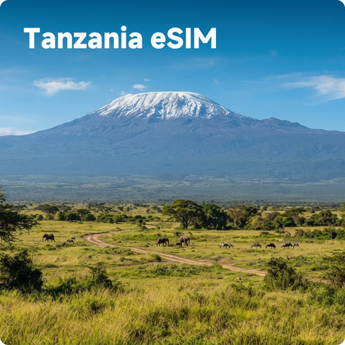 Buy Tanzania eSIM for Travelers | Fast & Affordable Mobile Data